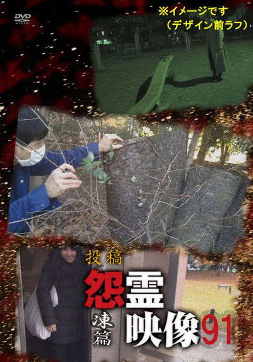 Posted Grudge Spirit Footage Vol.91: Freezing Edition poster