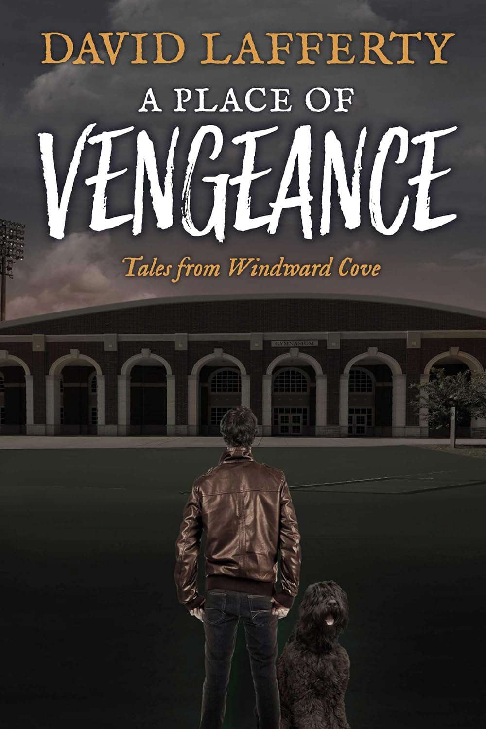 A Place of Vengeance: Tales from Windward Cove poster