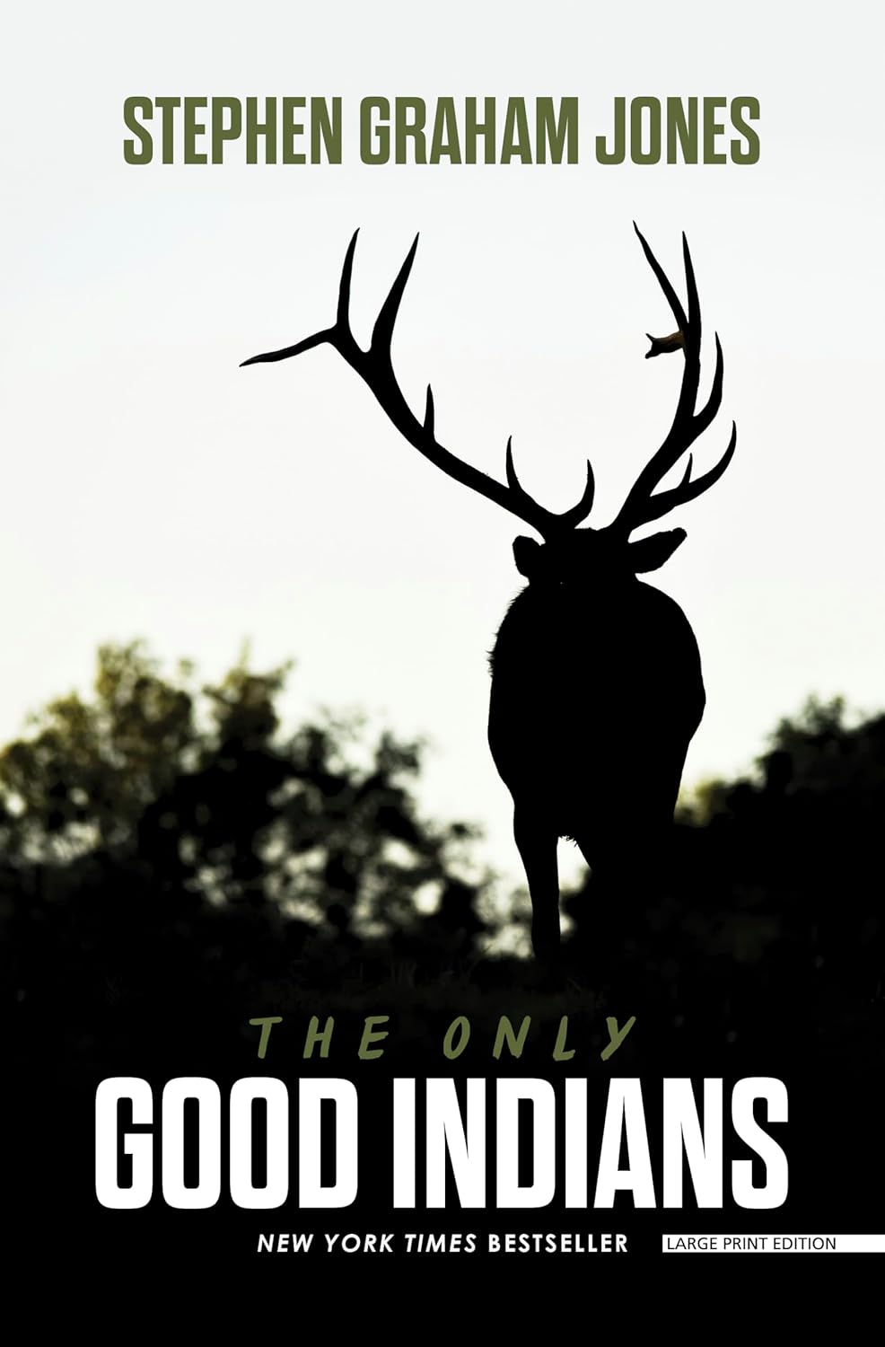 The Only Good Indians poster