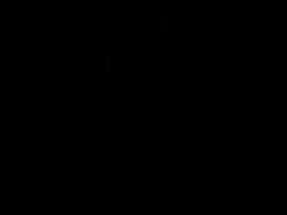Mr. Halloween Trailer poster