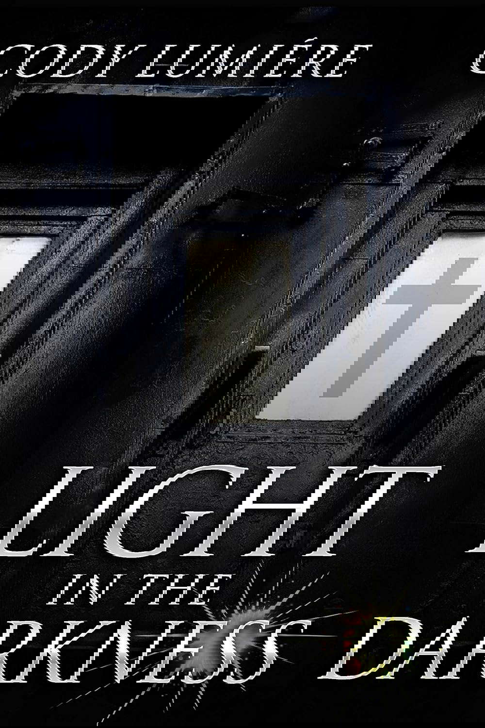 Light in the Darkness (Light and Dark Book 1) poster