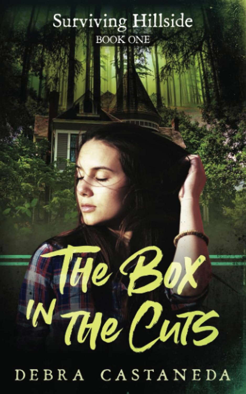 The Box in the Cuts: A Supernatural Mystery poster