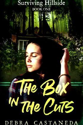 The Box in the Cuts: A Supernatural Mystery poster