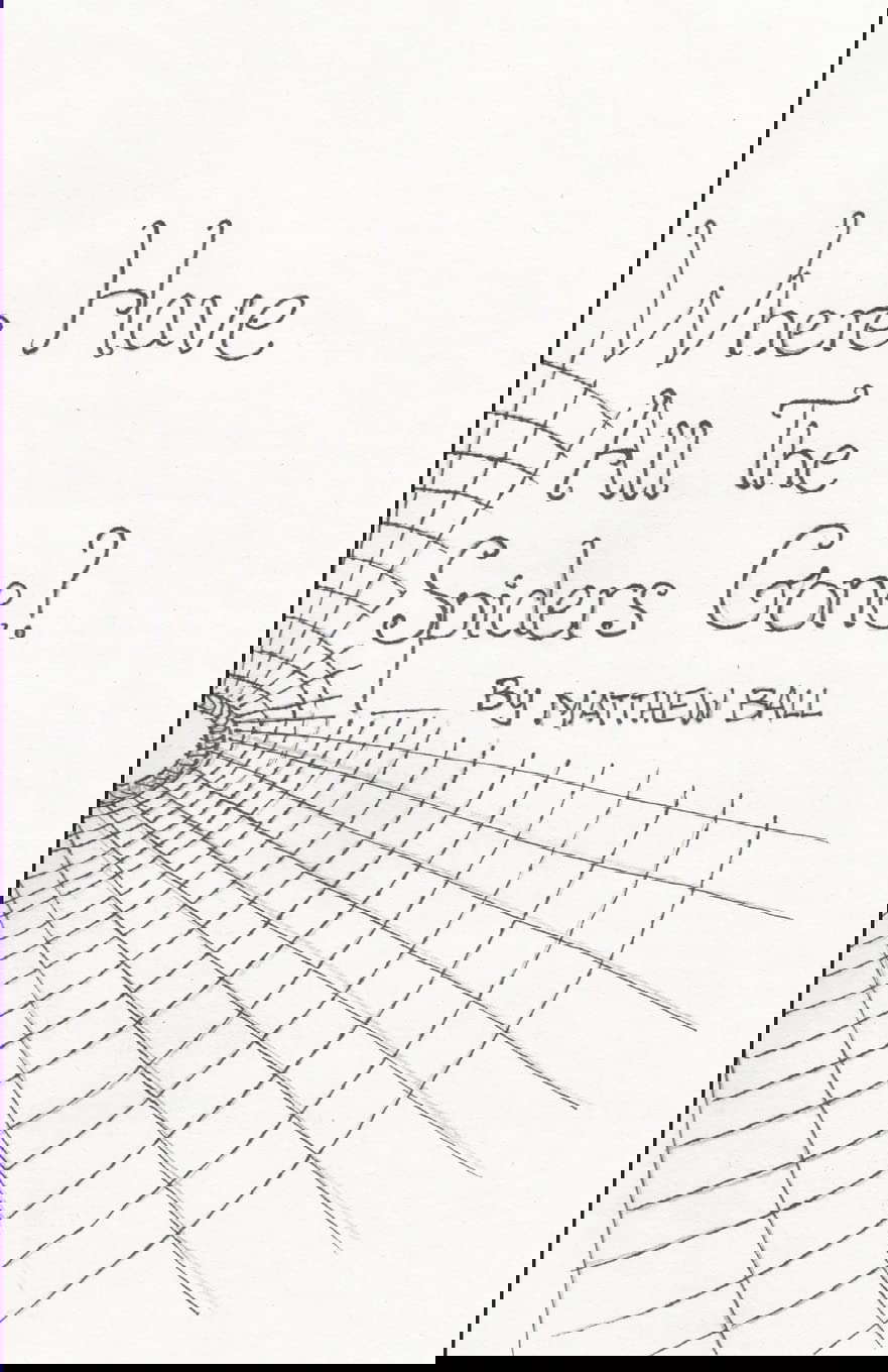 Where Have All The Spiders Gone? poster