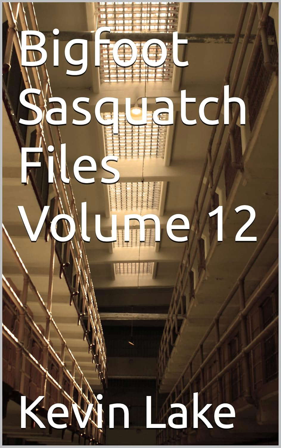 Bigfoot Sasquatch Files Volume 12 poster