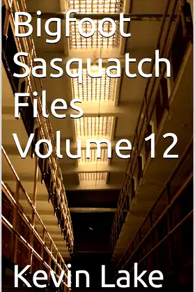 Bigfoot Sasquatch Files Volume 12 poster