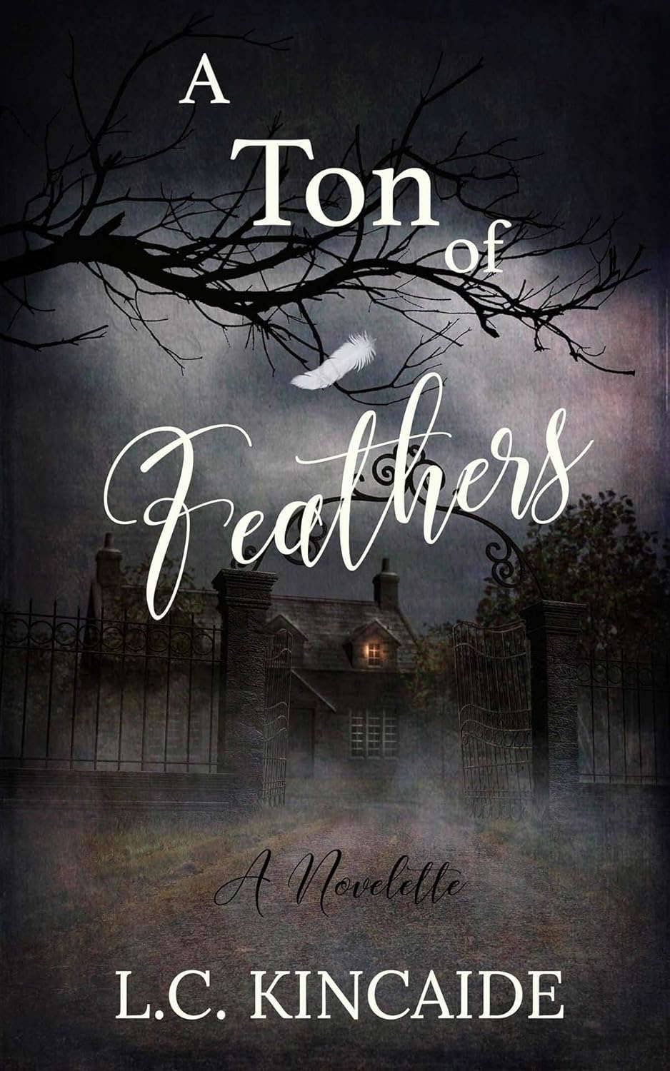A Ton Of Feathers poster