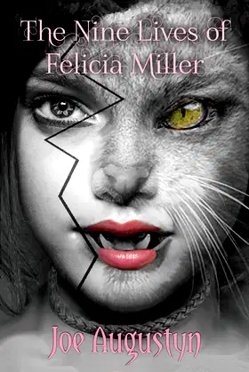 The Nine Lives of Felicia Miller poster