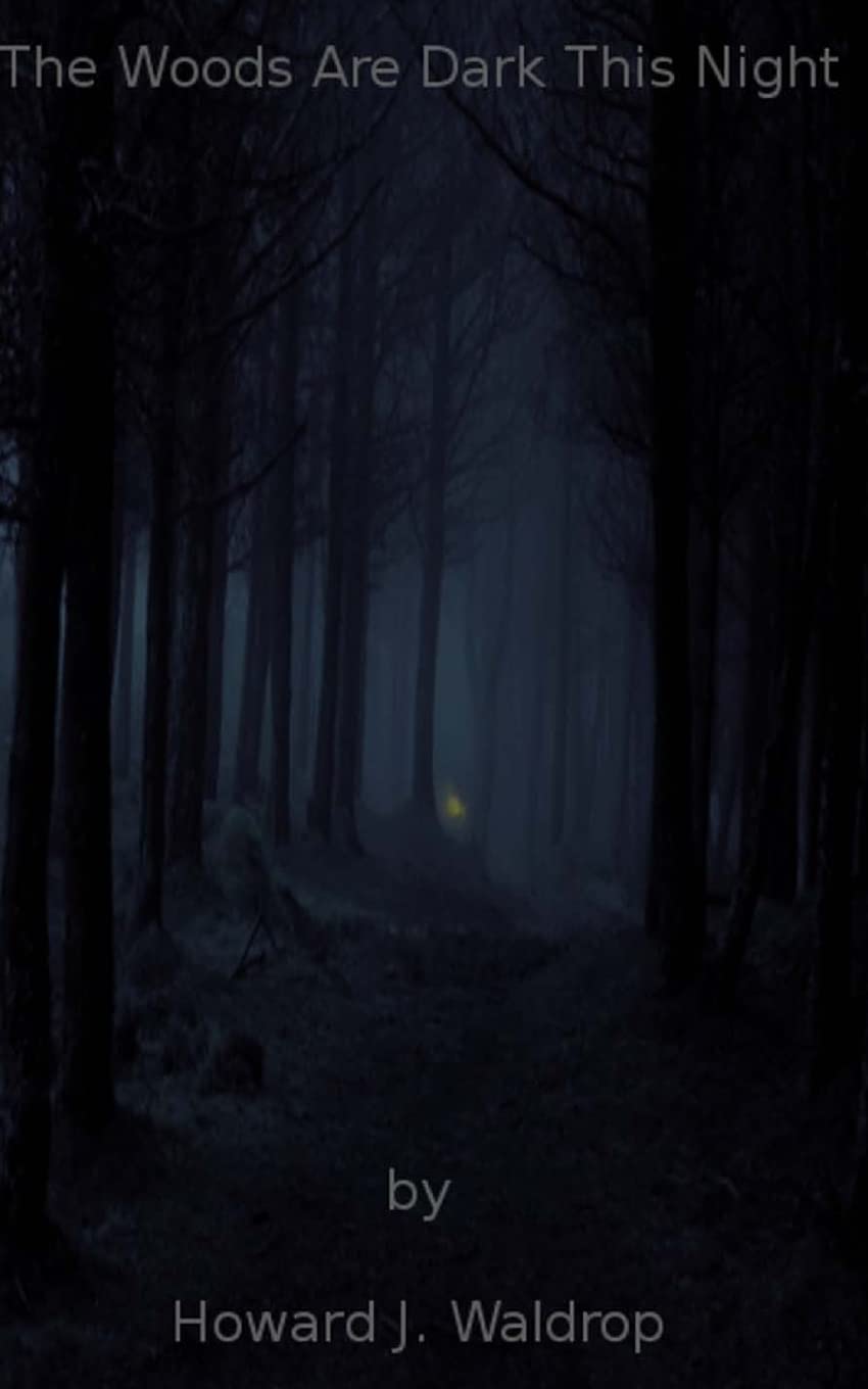 The Woods Are Dark This Night poster