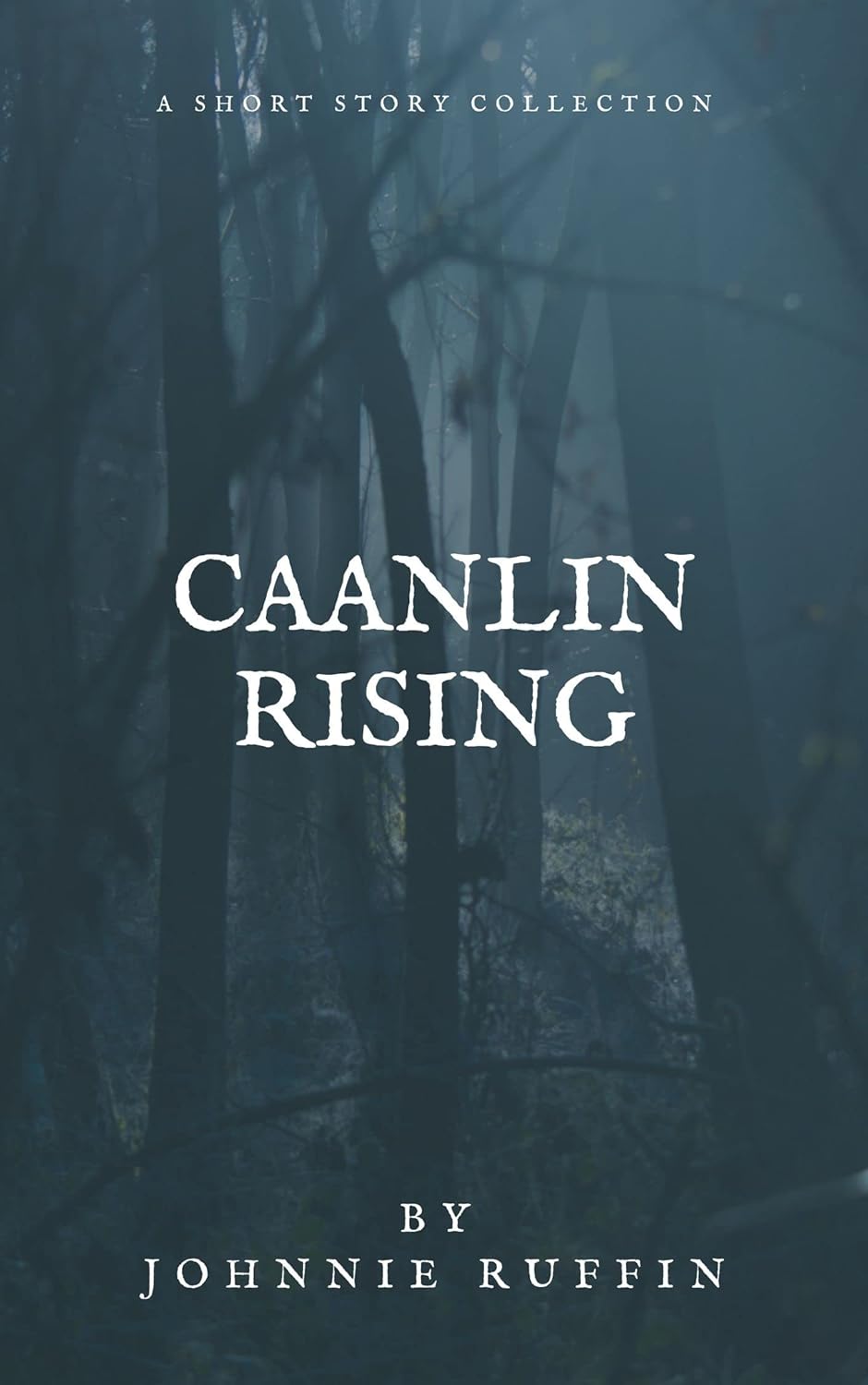 Caanlin Rising: A Short Story Collection (Caanlin Running) poster