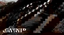 episode poster