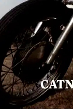 Catnip poster