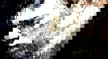 episode poster
