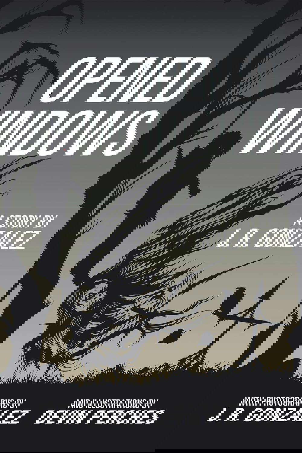 Opened Windows poster