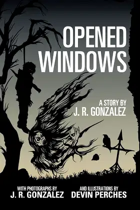 Opened Windows poster