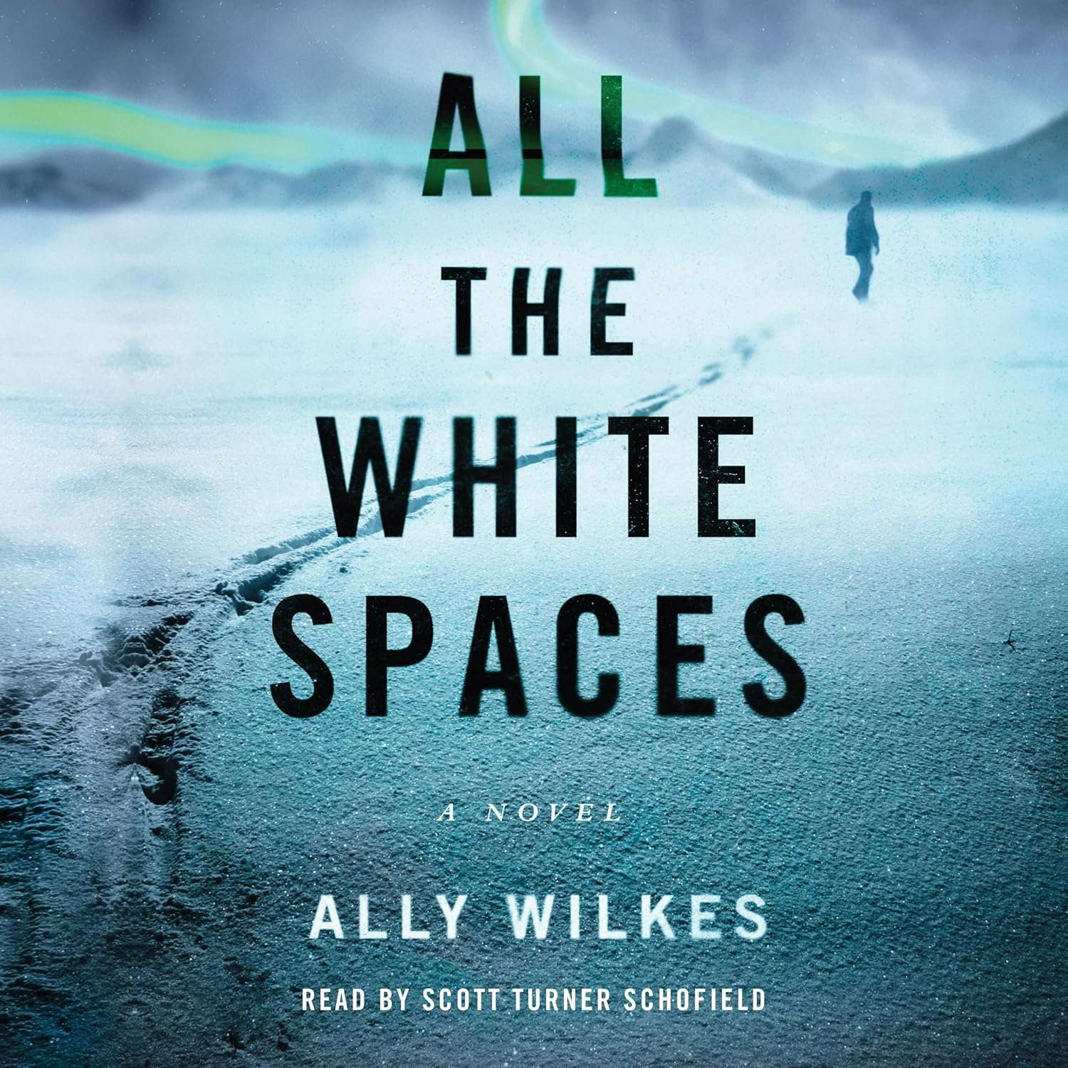 All the White Spaces: A Novel poster