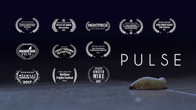 Pulse - Short Horror Film poster