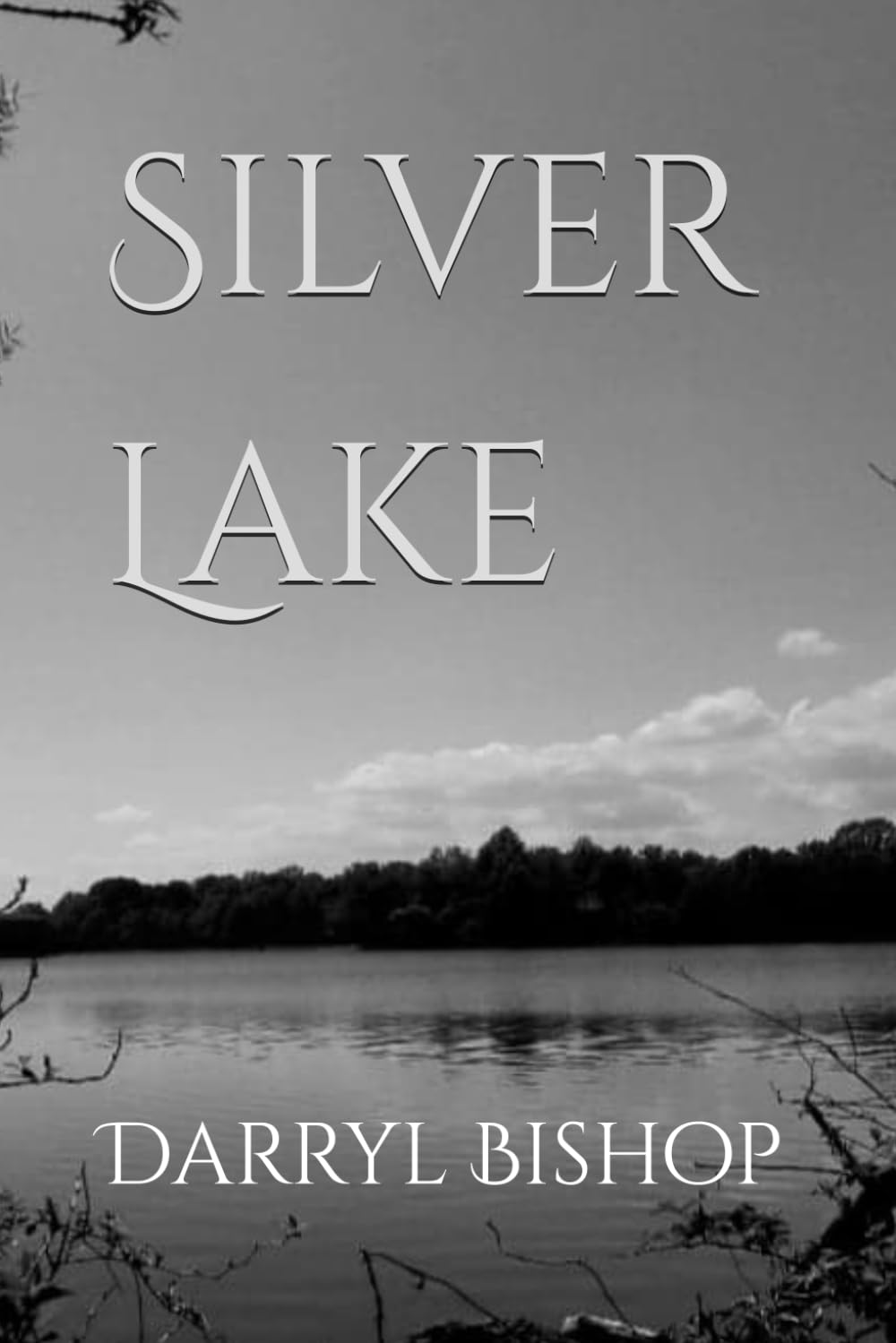 Silver Lake poster