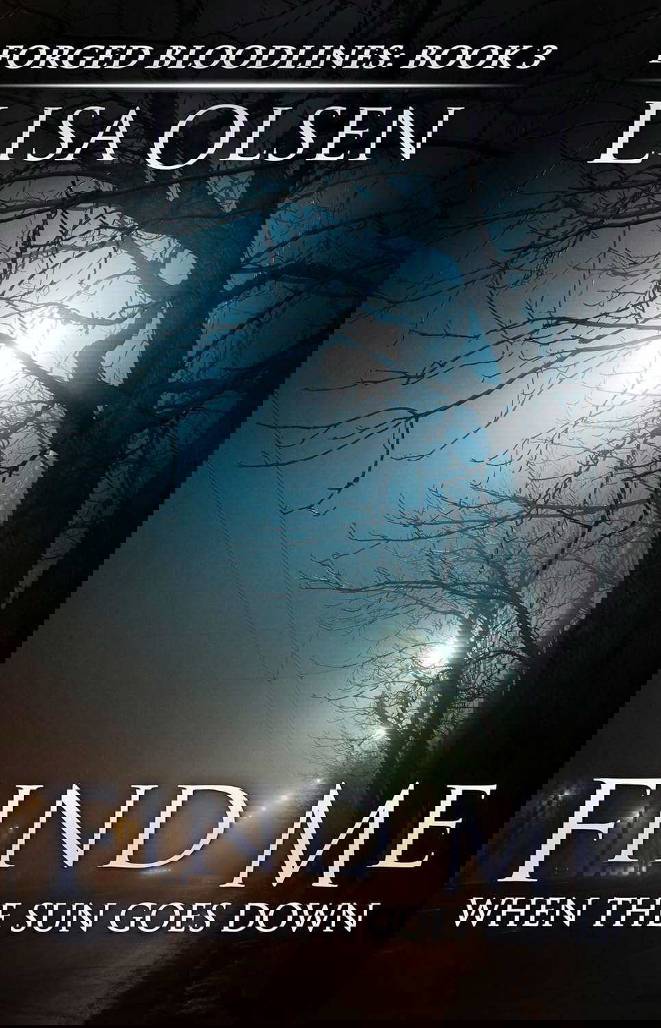 Find Me When the Sun Goes Down (Forged Bloodlines Book 3) poster
