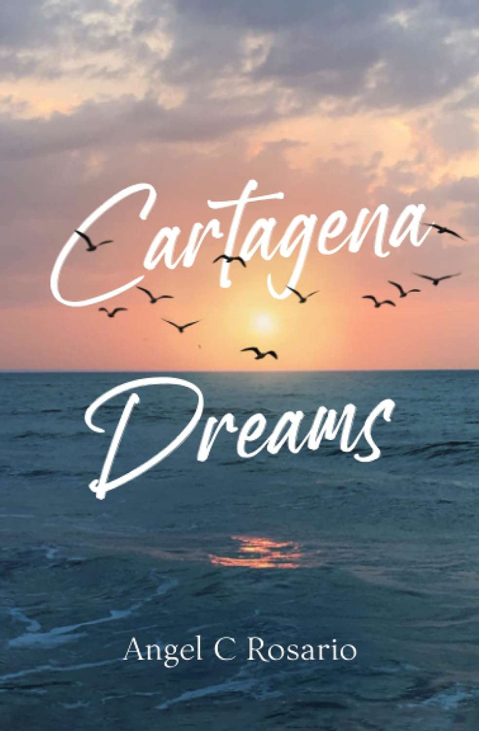 Cartagena Dreams poster
