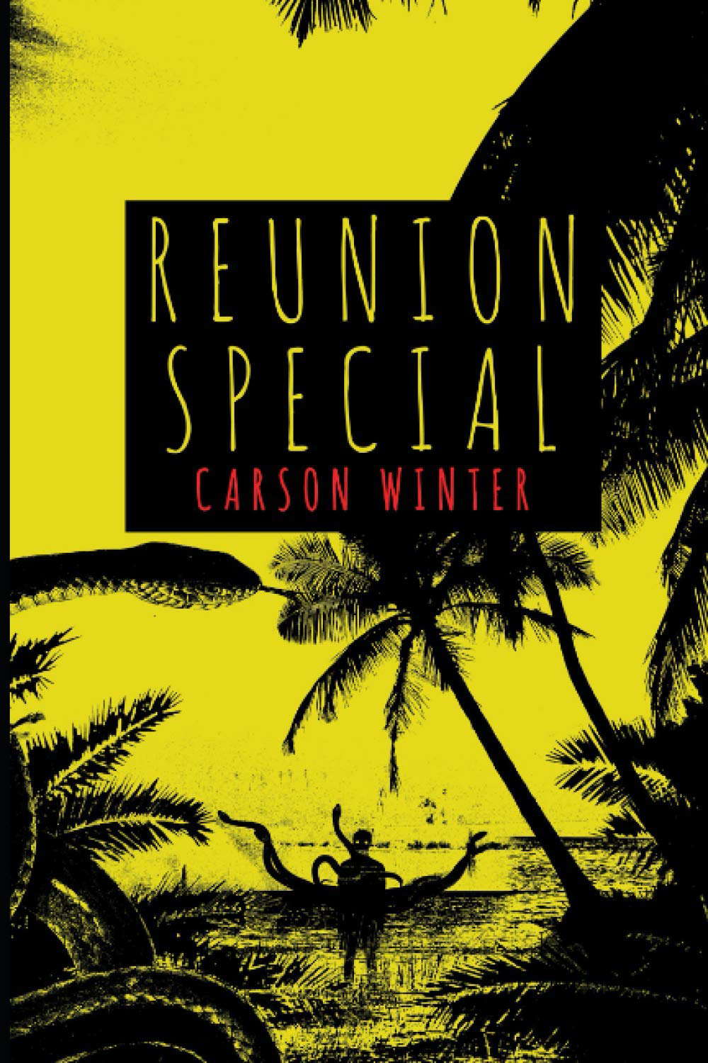 Reunion Special: A Novella poster