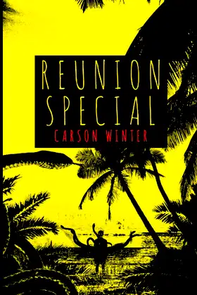 Reunion Special: A Novella poster