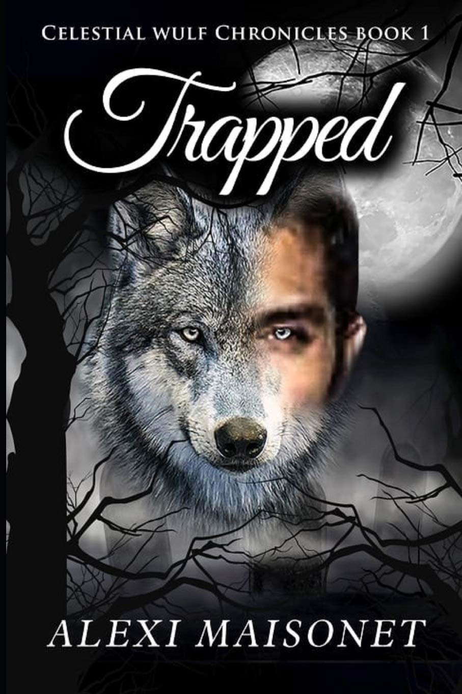 Celestial Wulf Chronicles: Forgotten Alpha poster