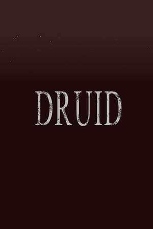 DRUID poster