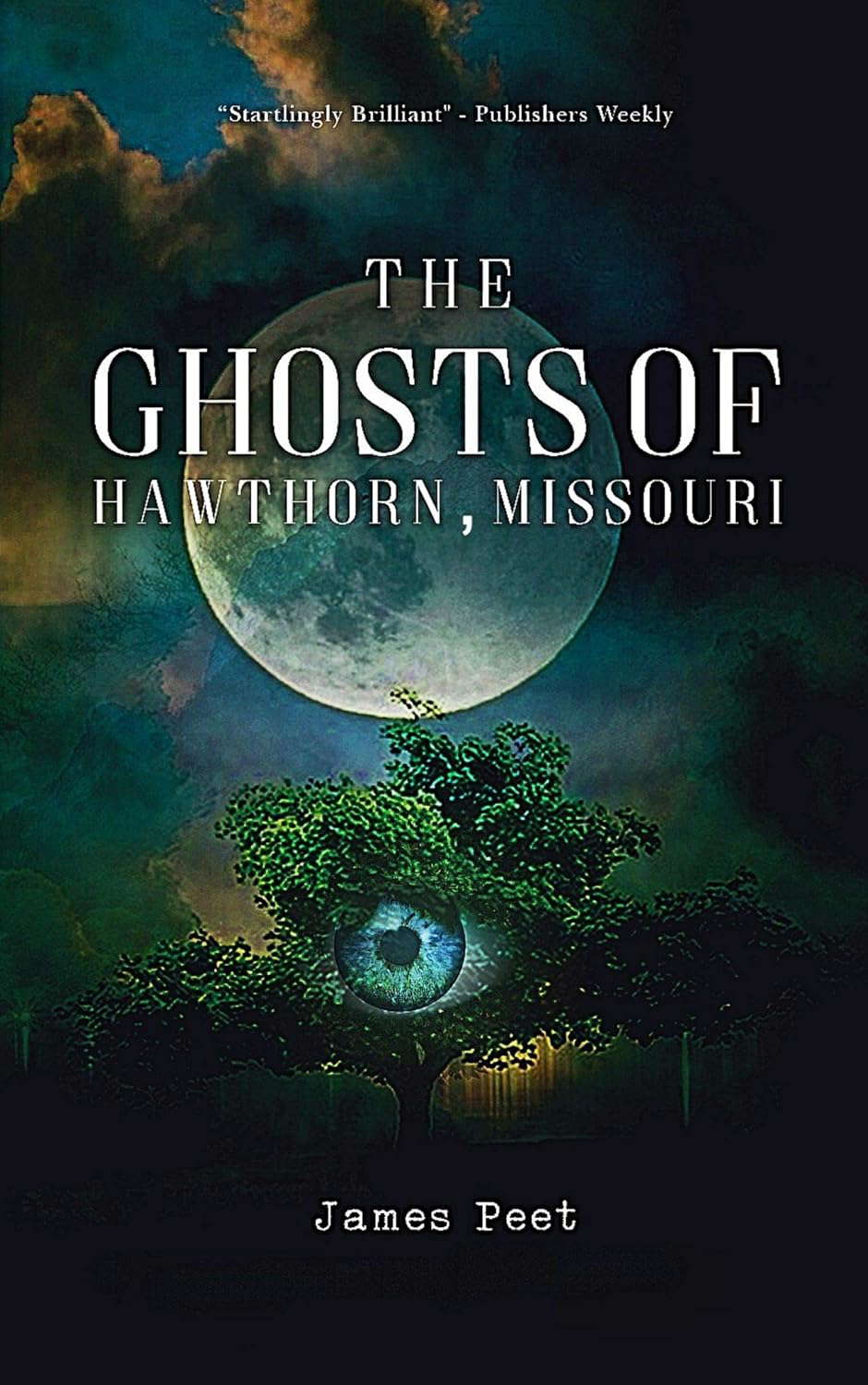 The Ghosts of Hawthorn, Missouri (Parables of Hawthorn Book 1) poster