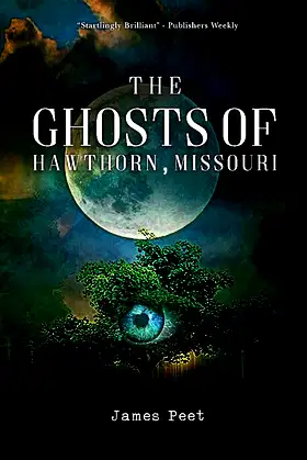 The Ghosts of Hawthorn, Missouri (Parables of Hawthorn Book 1) poster