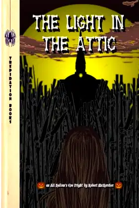 The Light in the Attic poster