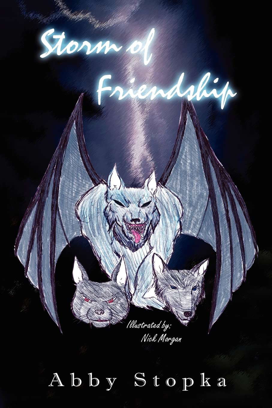 Storm of Friendship poster