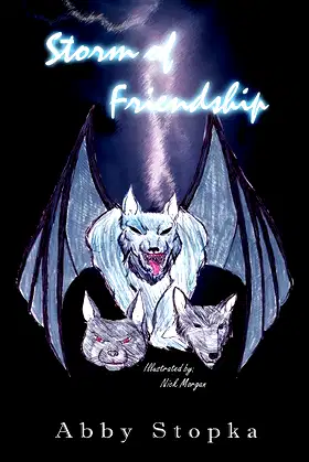 Storm of Friendship poster