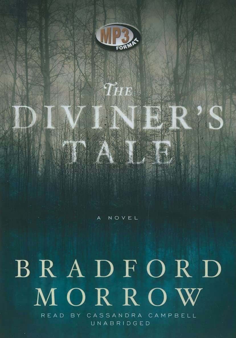 The Diviner's Tale poster