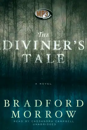The Diviner's Tale poster