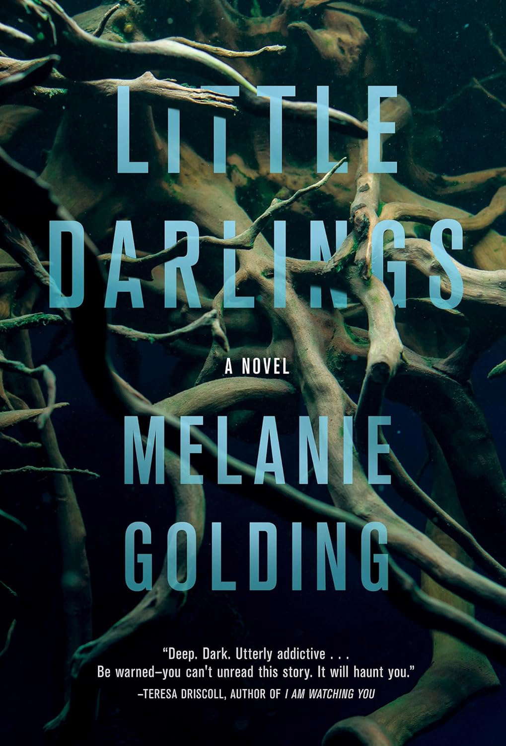 Little Darlings: A Novel poster