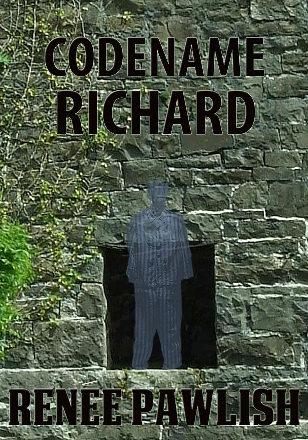 Codename Richard: A Ghost Story poster