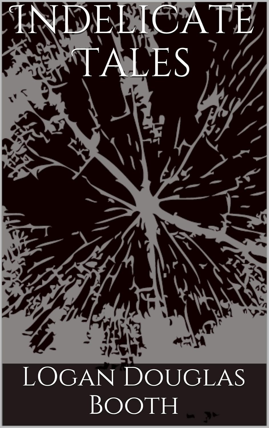 Indelicate Tales poster