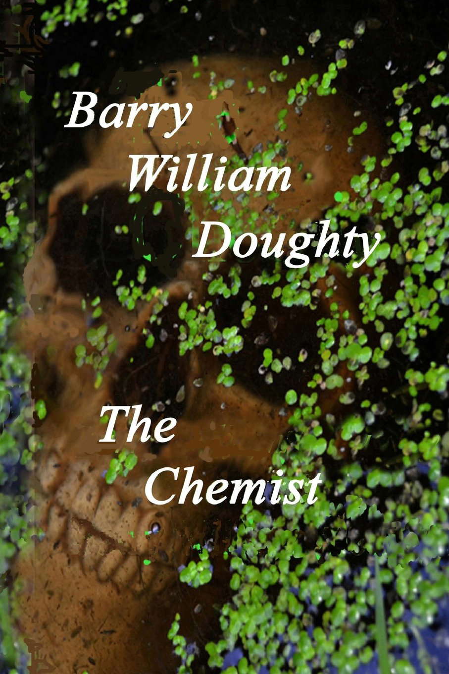 The Chemist poster