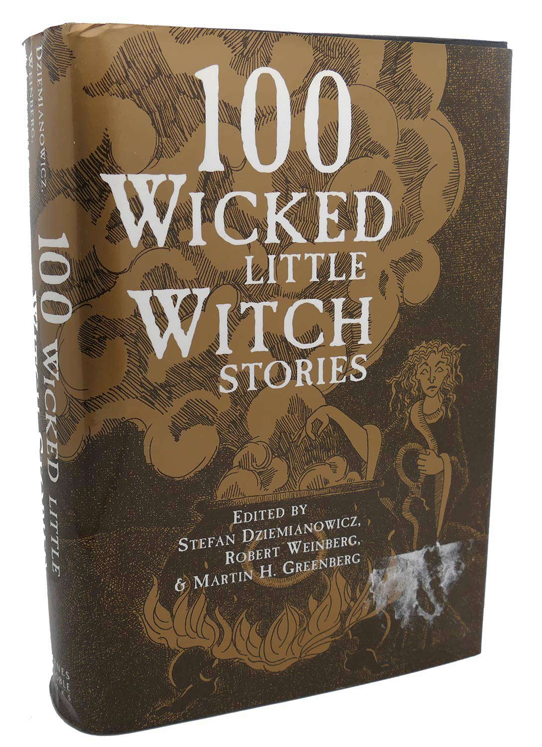 100 Wicked Little Witch Stories poster