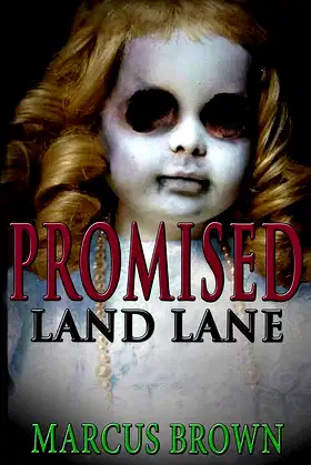 Promised Land Lane poster