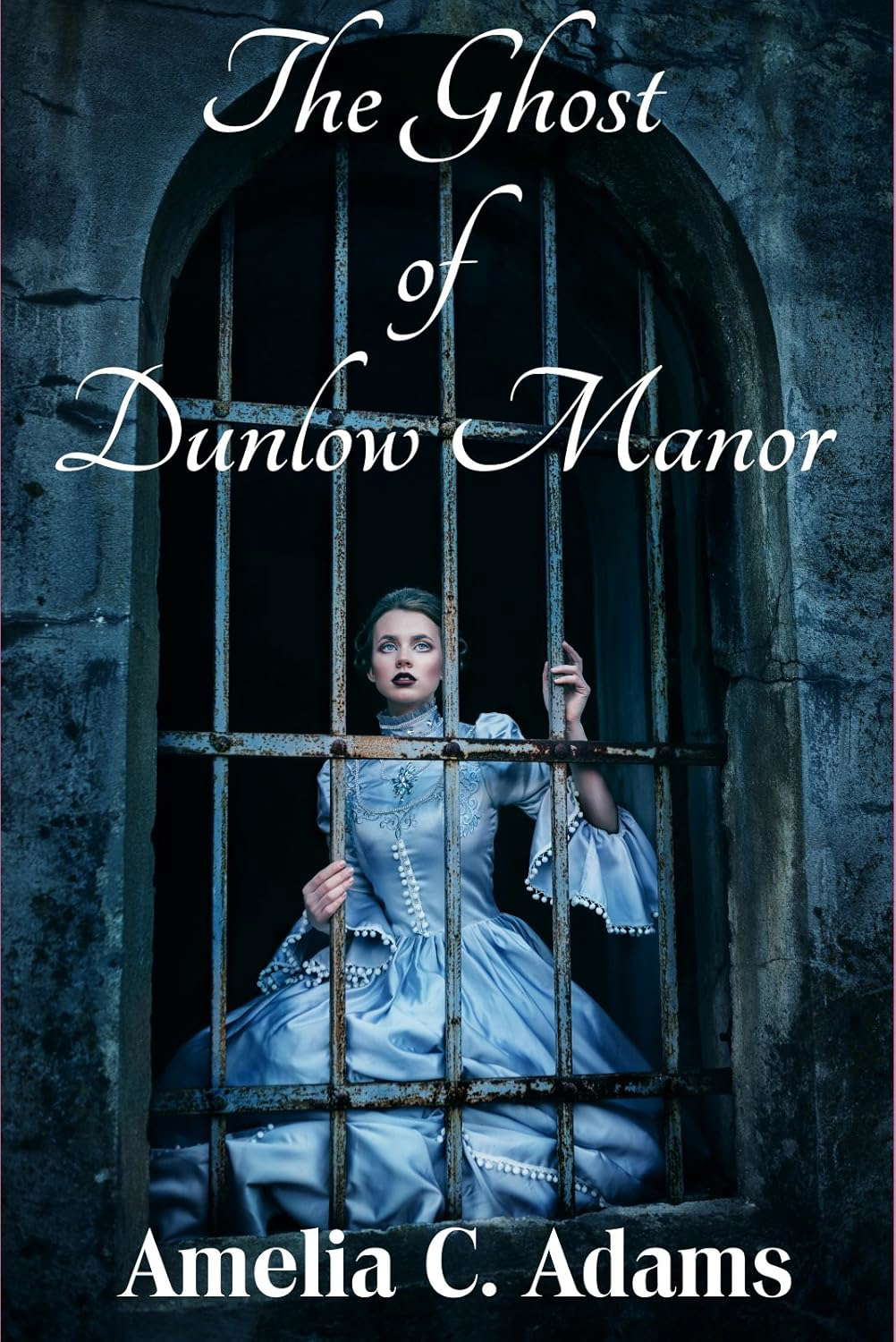 The Ghost of Dunlow Manor poster