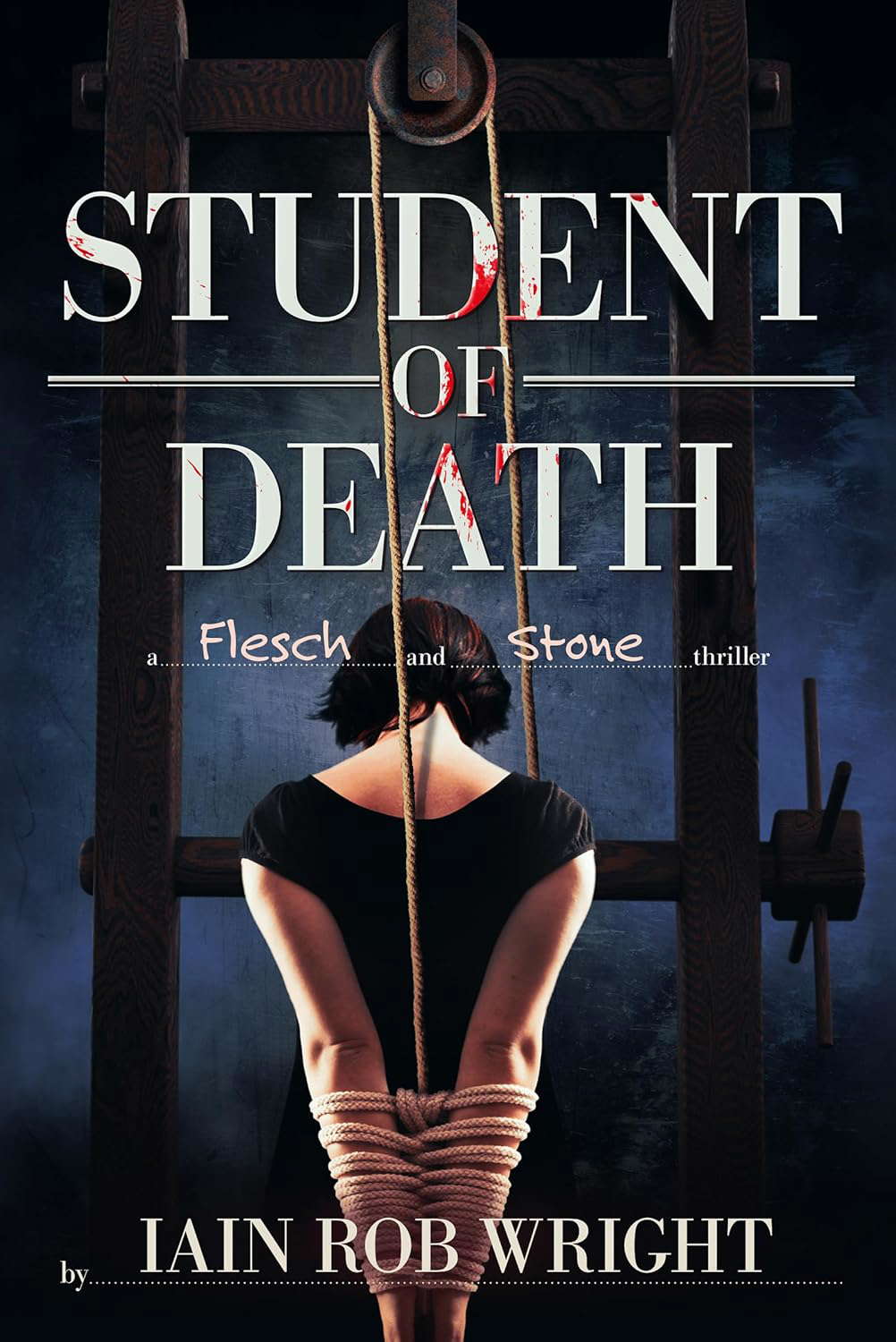 Student of Death: A Flesch & Stone novel poster