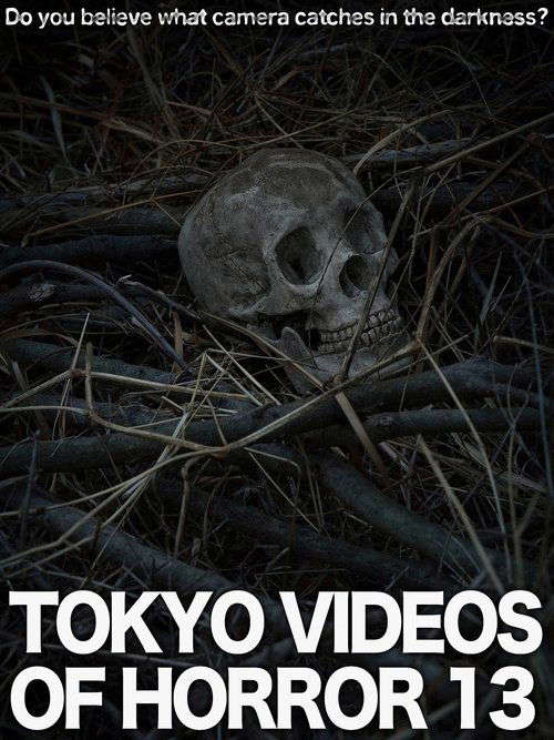 Tokyo Videos of Horror 13 poster