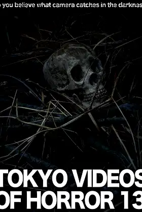 Tokyo Videos of Horror 13 poster