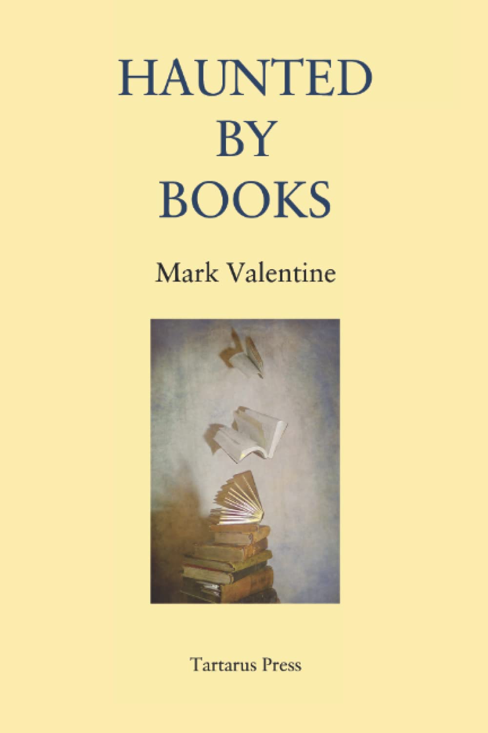 Haunted by Books poster