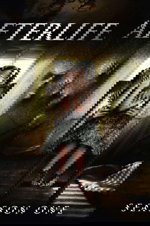 Season 1 poster