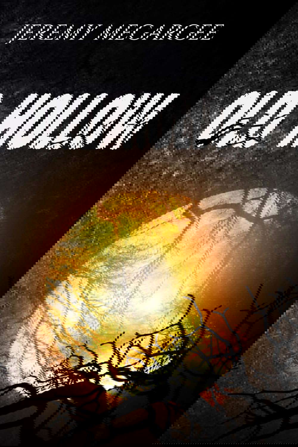 Old Hollow poster