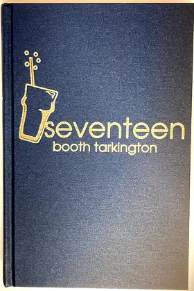 Seventeen poster