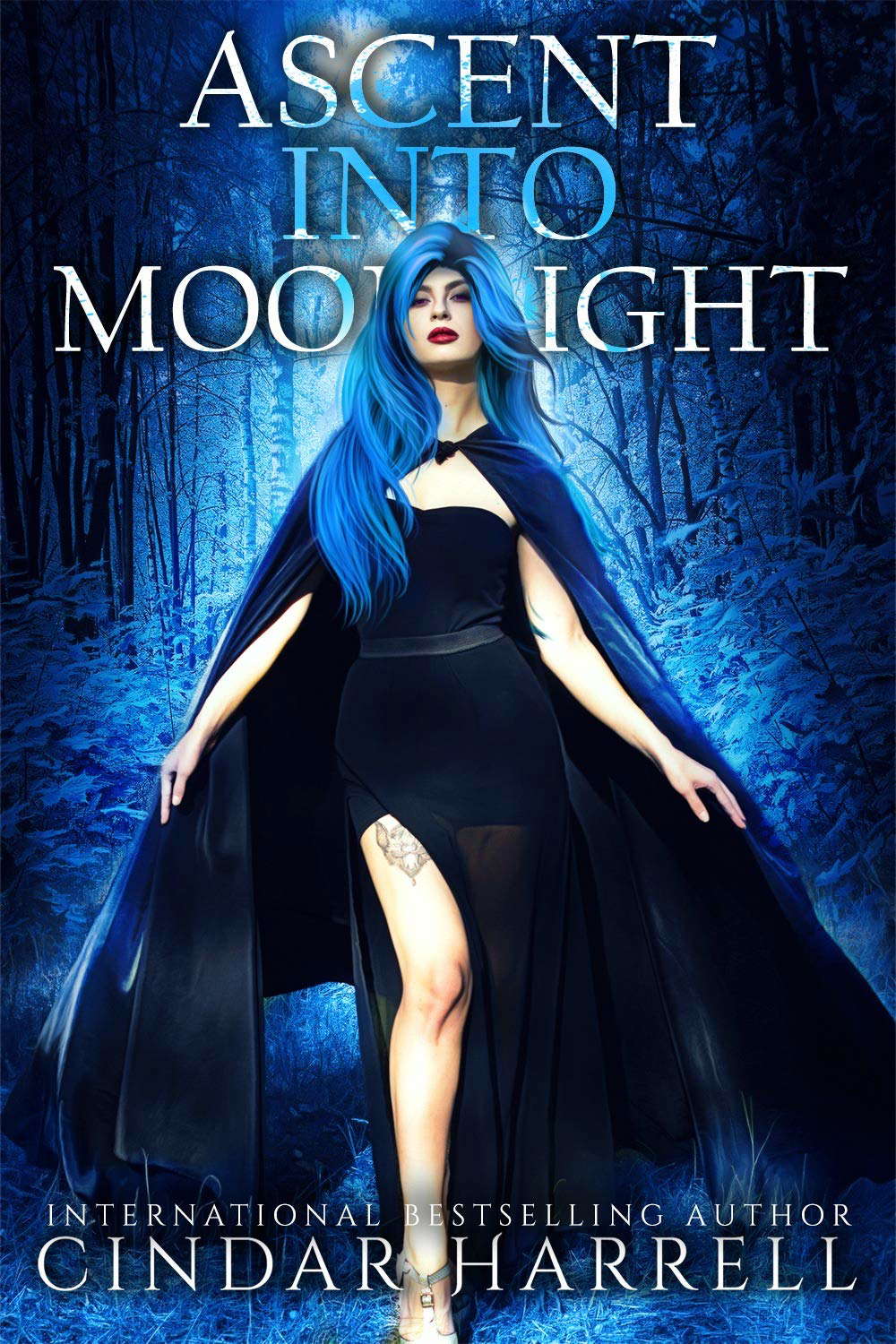 Ascent into Moonlight: A Short Story Collection (The Dark Collection) poster